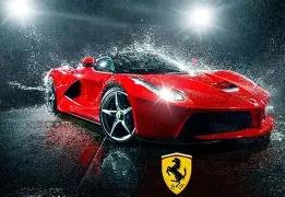 金秋赛场闪,耀之星,莱昂纳多,皇冠体育app下载,皇冠体育官网,澳门皇冠体育,bet皇冠体育在线